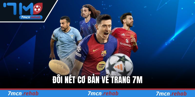 Đôi nét cơ bản về trang 7M