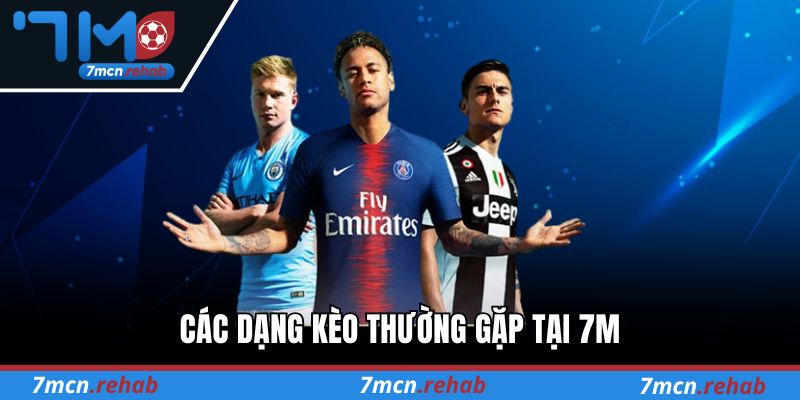 Hướng dẫn trở thành hội viên của 7M cho người mới